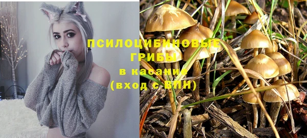 СК Карталы