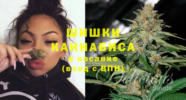 PSILOCYBIN Касимов