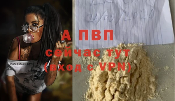 шишки Киренск