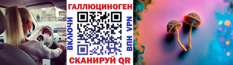Галлюциногенные грибы Cubensis где купить наркоту мега вход Раменское