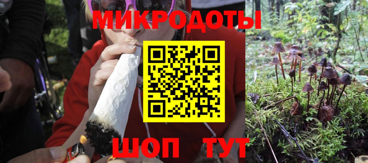 Галлюциногенные грибы Psilocybe  Вход с VPN  Раменское 