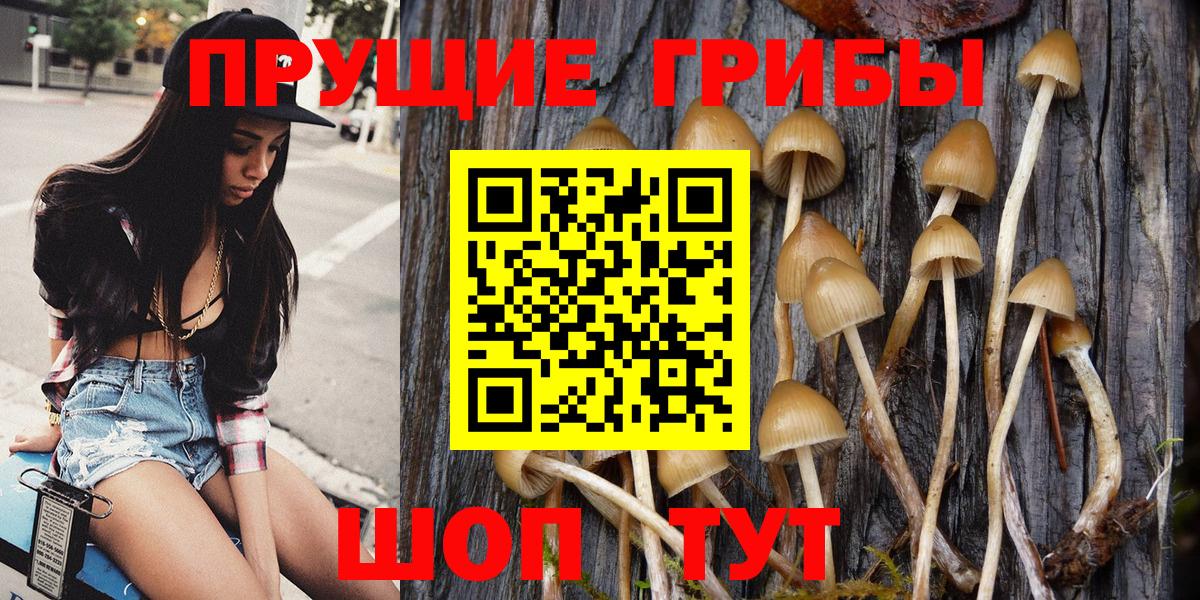 Псилоцибиновые грибы MAGIC MUSHROOMS Раменское